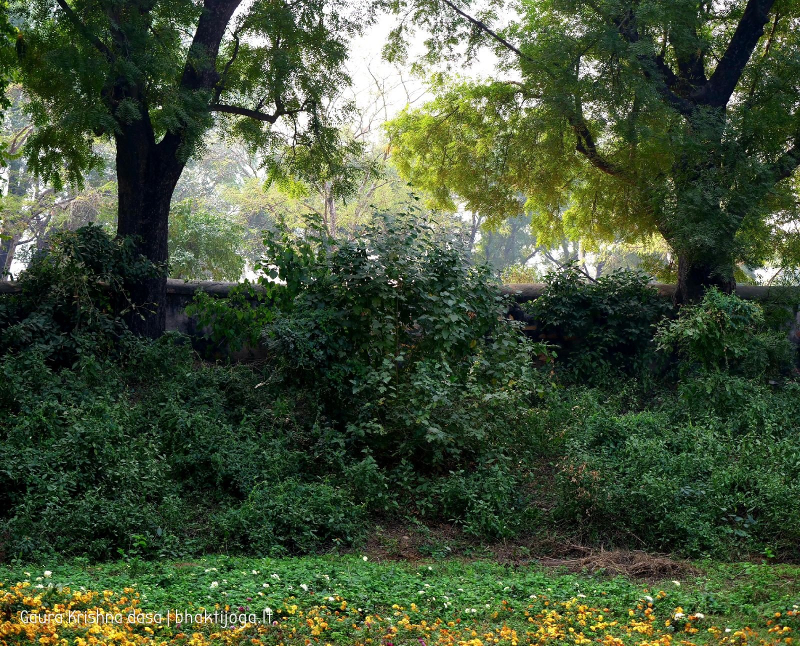  Varshana parikrama and preaching. 2019.12.10